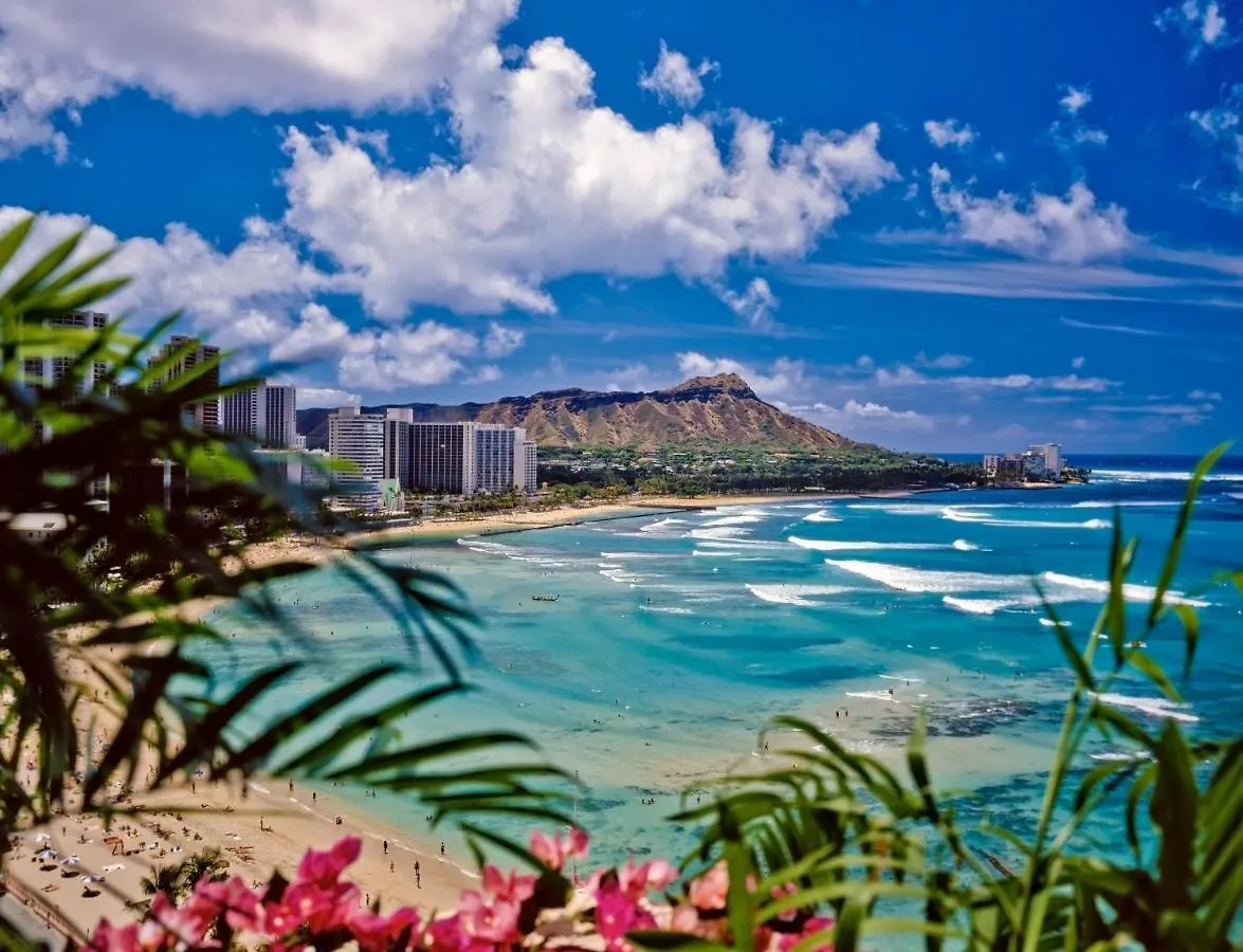 شقة Great Ocean View At Waikiki Sunset With Parking هونولولو